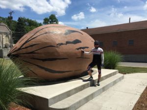 Steve with the BIG Pecan!